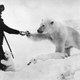 Illustration for article titled Strange Historic Photos From Antarctica and Other Kingdoms of Ice